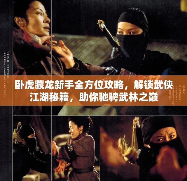 卧虎藏龙新手全方位攻略，解锁武侠江湖秘籍，助你驰骋武林之巅