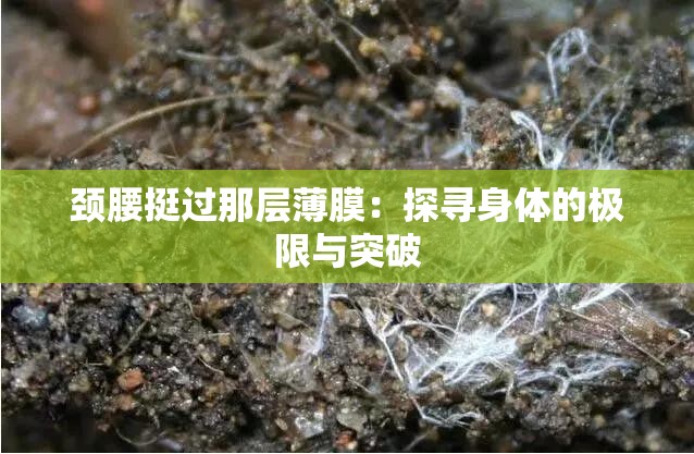 颈腰挺过那层薄膜：探寻身体的极限与突破