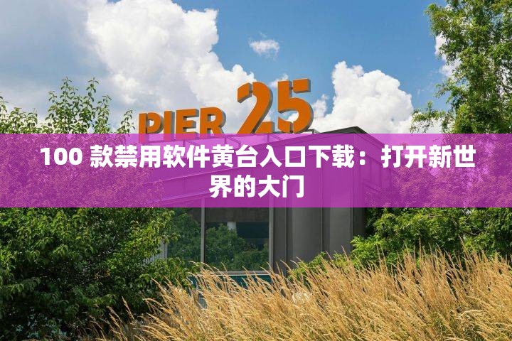 100 款禁用软件黄台入口下载：打开新世界的大门