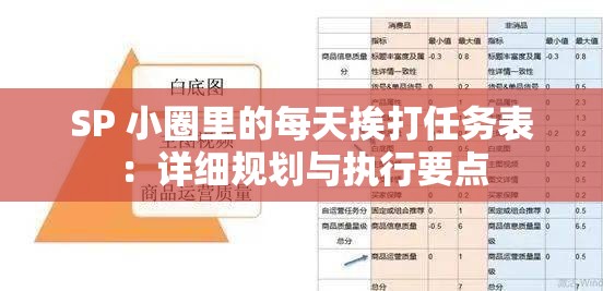 SP 小圈里的每天挨打任务表：详细规划与执行要点