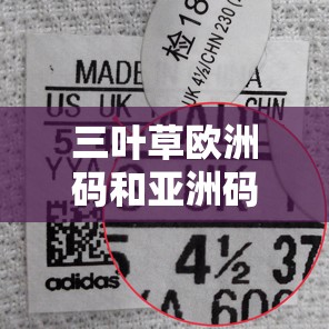 三叶草欧洲码和亚洲码的区别：你需要知道的尺码秘密
