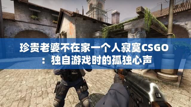 珍贵老婆不在家一个人寂寞CSGO ：独自游戏时的孤独心声