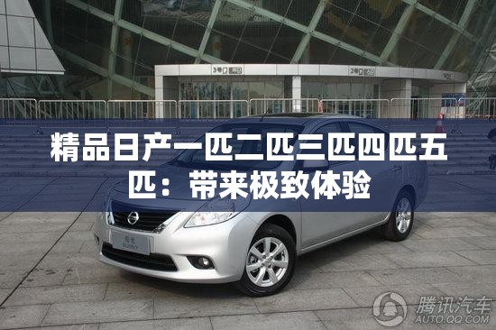 精品日产一匹二匹三匹四匹五匹：带来极致体验