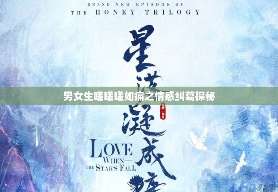 男女生嗟嗟嗟如痛之情感纠葛探秘