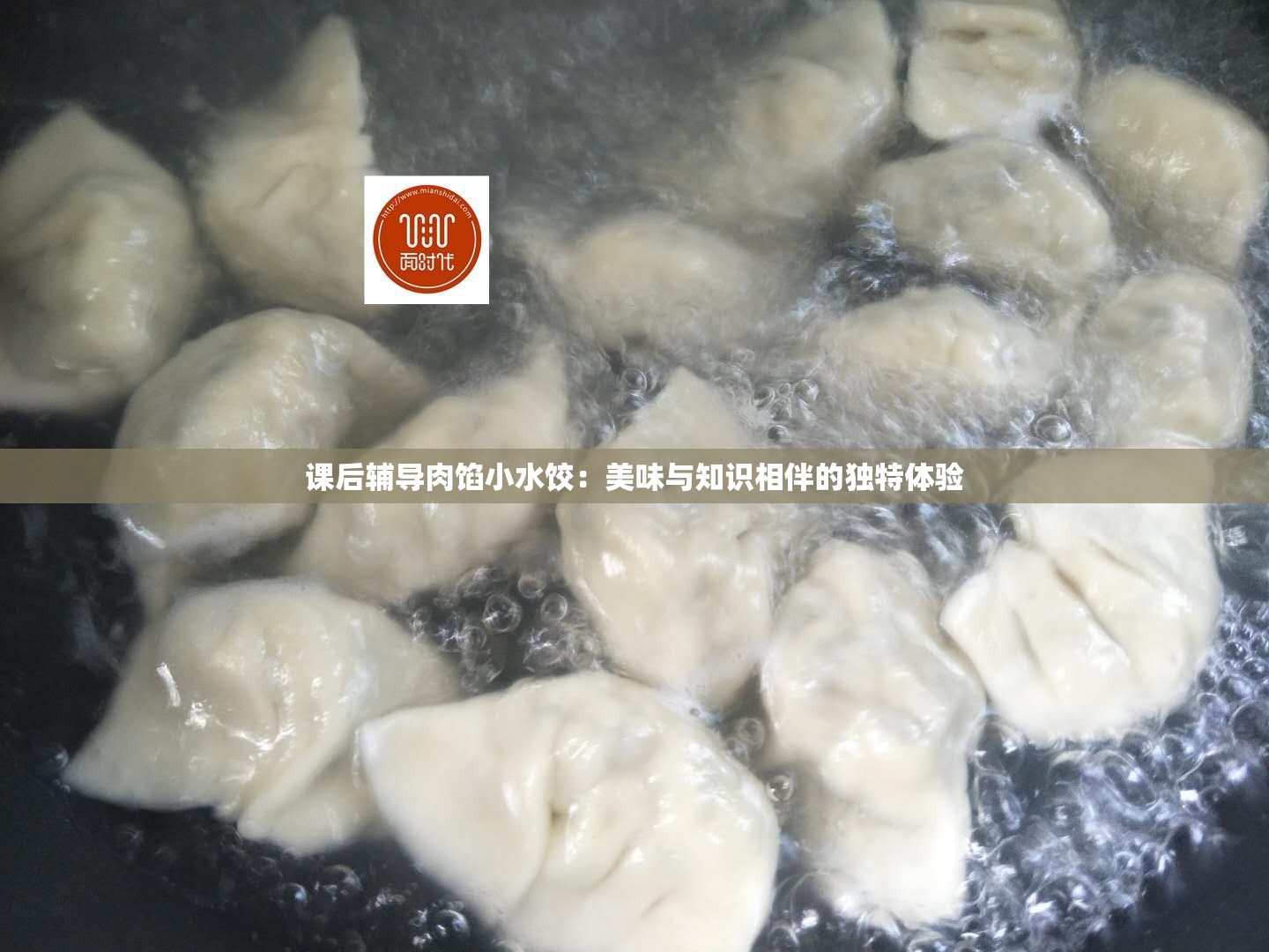 课后辅导肉馅小水饺：美味与知识相伴的独特体验
