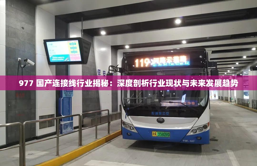 977 国产连接线行业揭秘：深度剖析行业现状与未来发展趋势