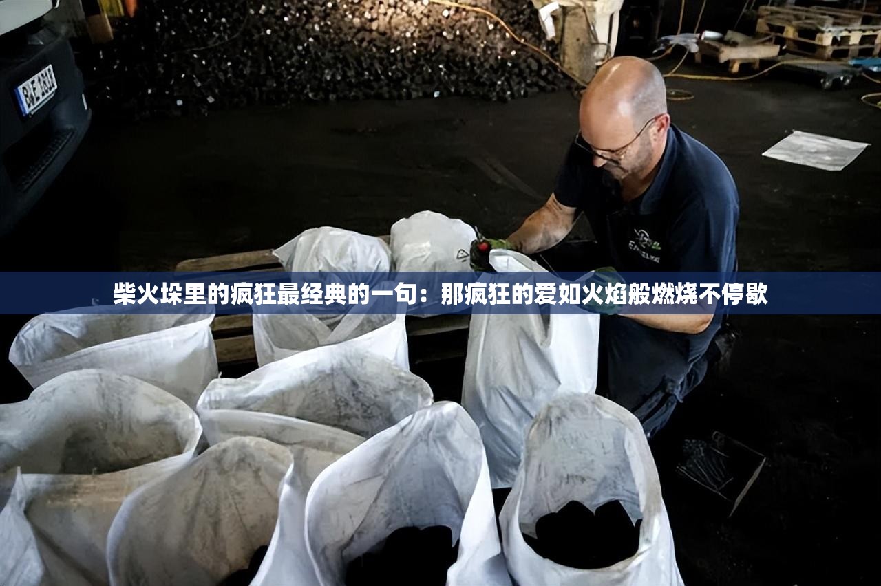 柴火垛里的疯狂最经典的一句：那疯狂的爱如火焰般燃烧不停歇