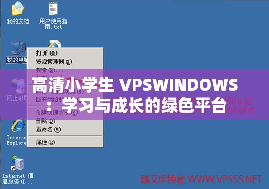 高清小学生 VPSWINDOWS：学习与成长的绿色平台