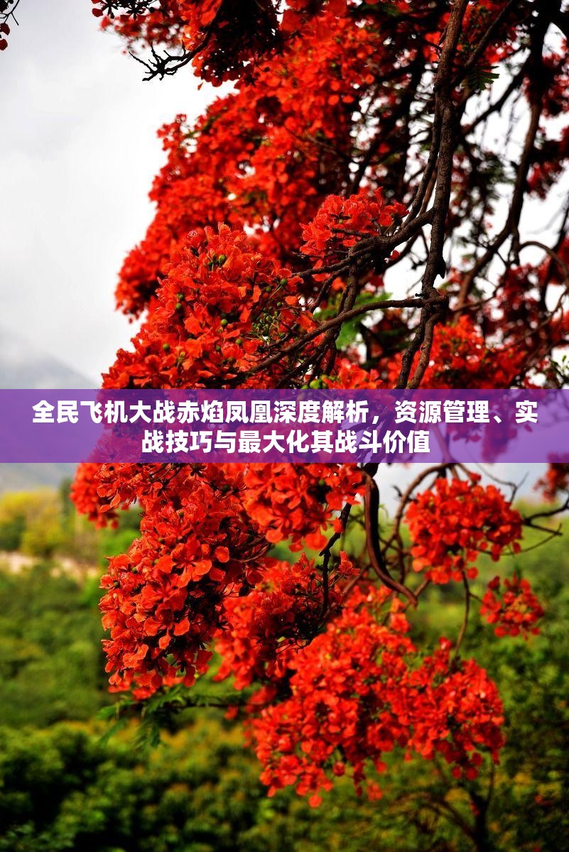 全民飞机大战赤焰凤凰深度解析，资源管理、实战技巧与最大化其战斗价值