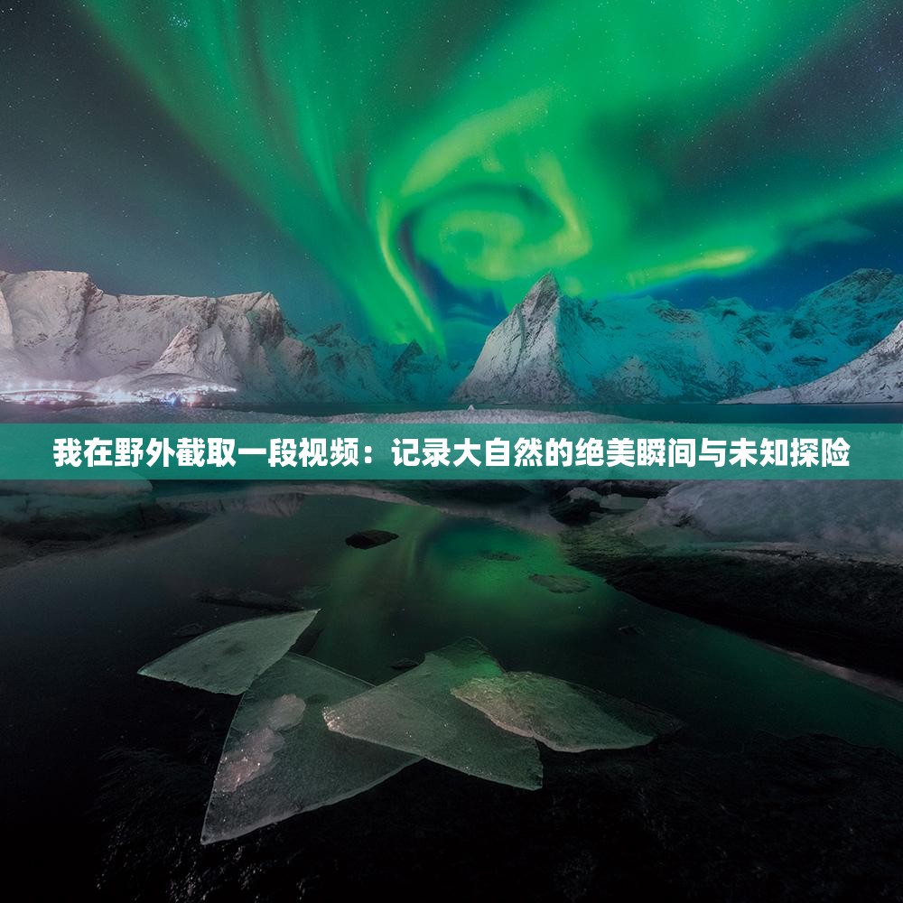我在野外截取一段视频：记录大自然的绝美瞬间与未知探险