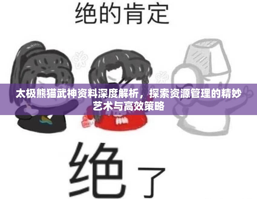 太极熊猫武神资料深度解析，探索资源管理的精妙艺术与高效策略