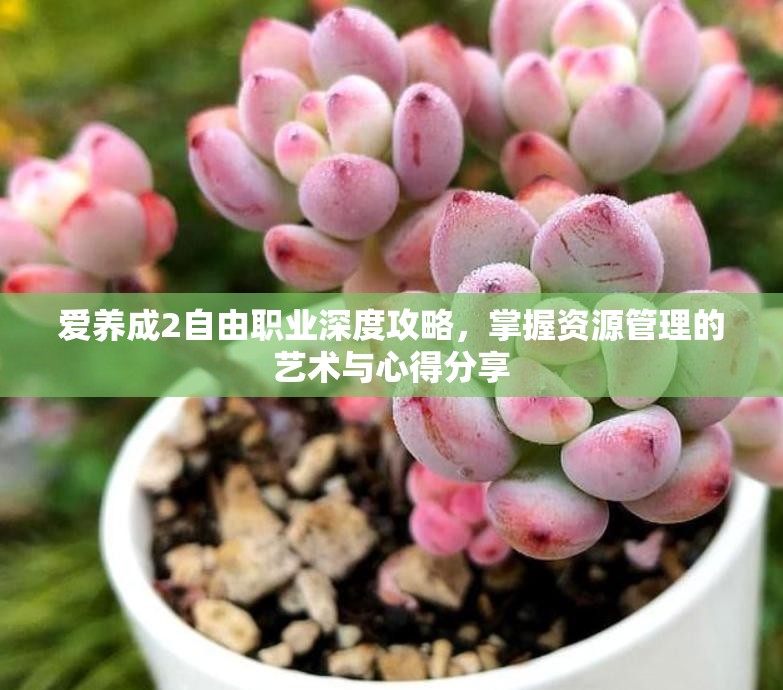 爱养成2自由职业深度攻略，掌握资源管理的艺术与心得分享