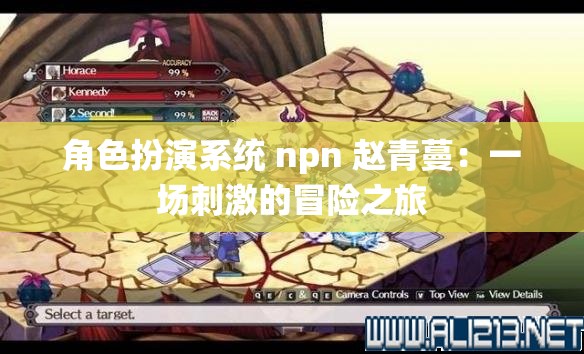 角色扮演系统 npn 赵青蔓：一场刺激的冒险之旅