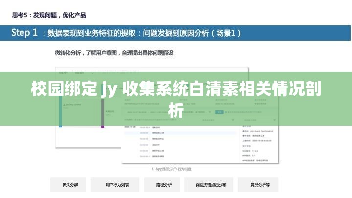 校园绑定 jy 收集系统白清素相关情况剖析