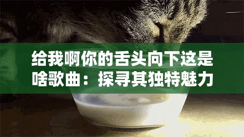 给我啊你的舌头向下这是啥歌曲：探寻其独特魅力与内涵