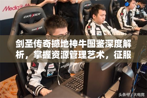 剑圣传奇撼地神牛图鉴深度解析，掌握资源管理艺术，征服游戏世界
