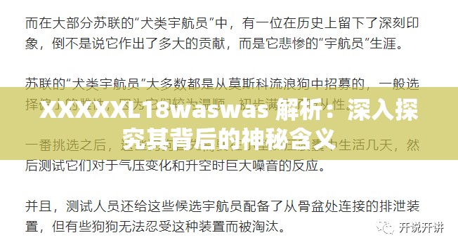XXXXXL18waswas 解析：深入探究其背后的神秘含义