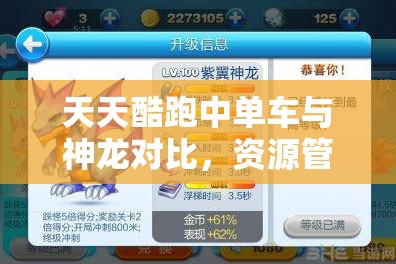 天天酷跑中单车与神龙对比，资源管理、高效使用技巧及避免资源浪费策略