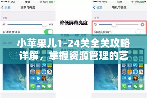 小苹果儿1-24关全关攻略详解，掌握资源管理的艺术与技巧