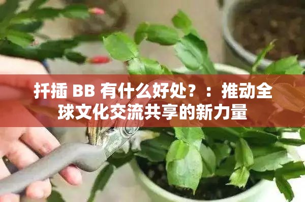 扦插 BB 有什么好处？：推动全球文化交流共享的新力量