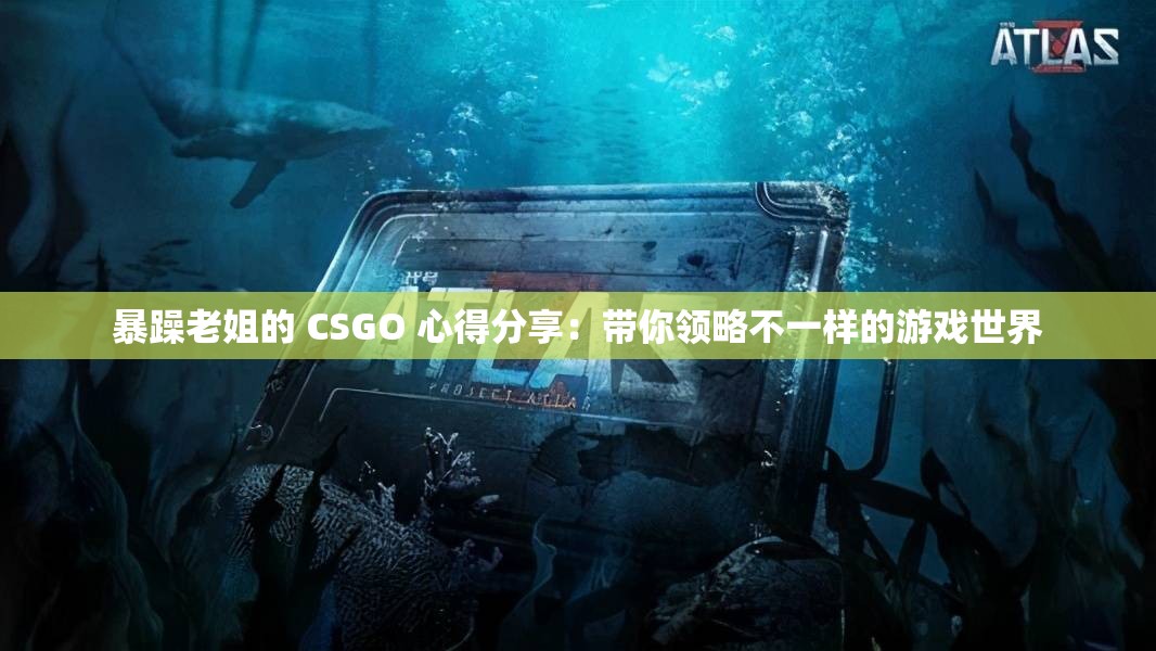 暴躁老姐的 CSGO 心得分享：带你领略不一样的游戏世界