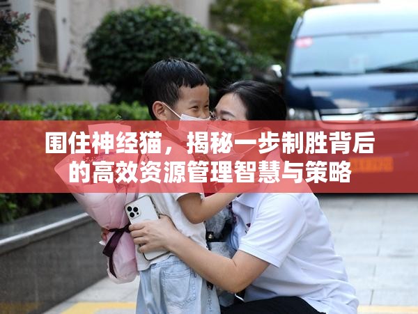 围住神经猫，揭秘一步制胜背后的高效资源管理智慧与策略