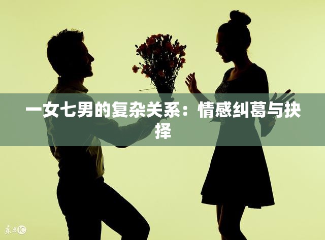 一女七男的复杂关系：情感纠葛与抉择
