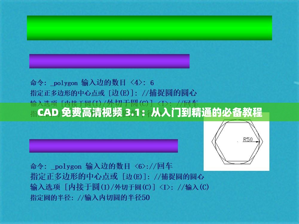 CAD 免费高清视频 3.1：从入门到精通的必备教程
