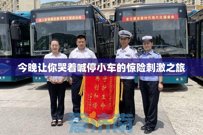 今晚让你哭着喊停小车的惊险刺激之旅