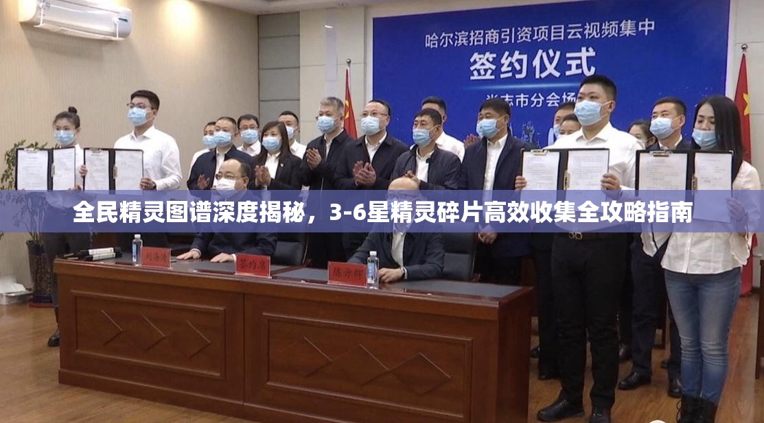 全民精灵图谱深度揭秘，3-6星精灵碎片高效收集全攻略指南