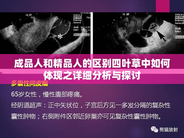 成品人和精品人的区别四叶草中如何体现之详细分析与探讨