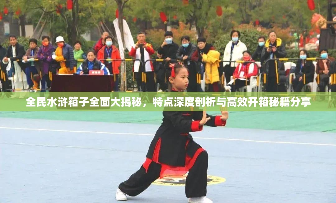 全民水浒箱子全面大揭秘，特点深度剖析与高效开箱秘籍分享