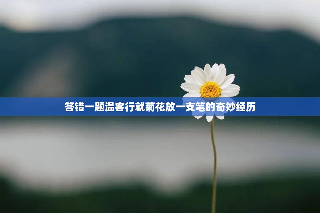 答错一题温客行就菊花放一支笔的奇妙经历