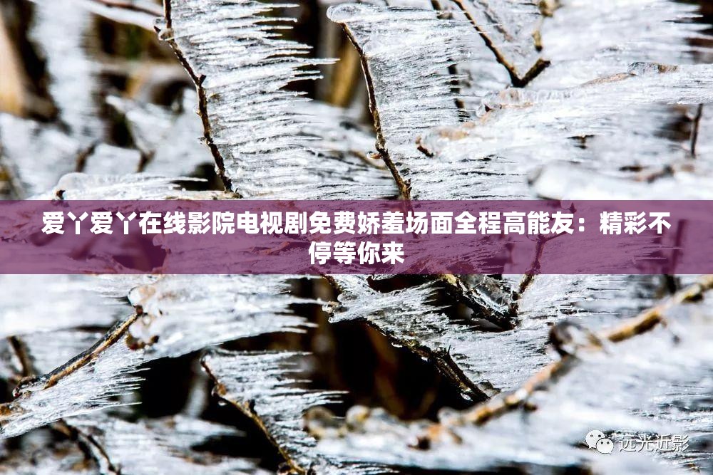 爱丫爱丫在线影院电视剧免费娇羞场面全程高能友：精彩不停等你来