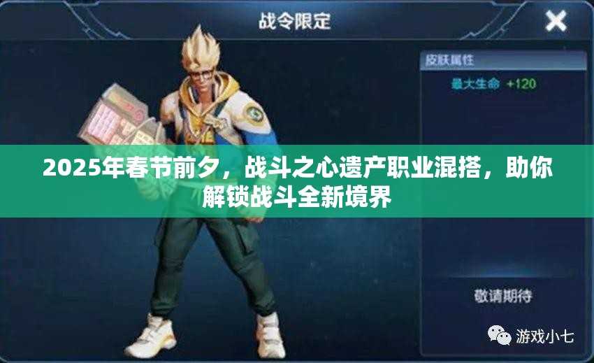 2025年春节前夕，战斗之心遗产职业混搭，助你解锁战斗全新境界