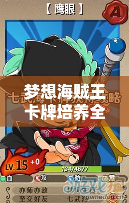梦想海贼王卡牌培养全面攻略，揭秘高效资源管理的艺术与技巧