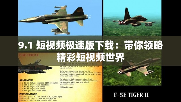 9.1 短视频极速版下载：带你领略精彩短视频世界