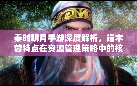 秦时明月手游深度解析，端木蓉特点在资源管理策略中的核心作用