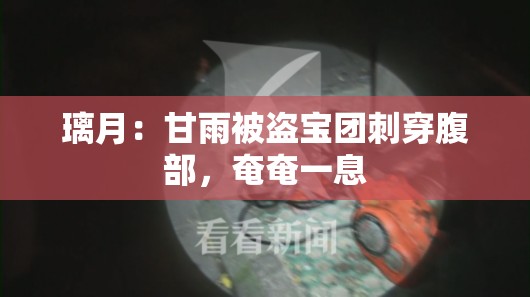 璃月：甘雨被盗宝团刺穿腹部，奄奄一息