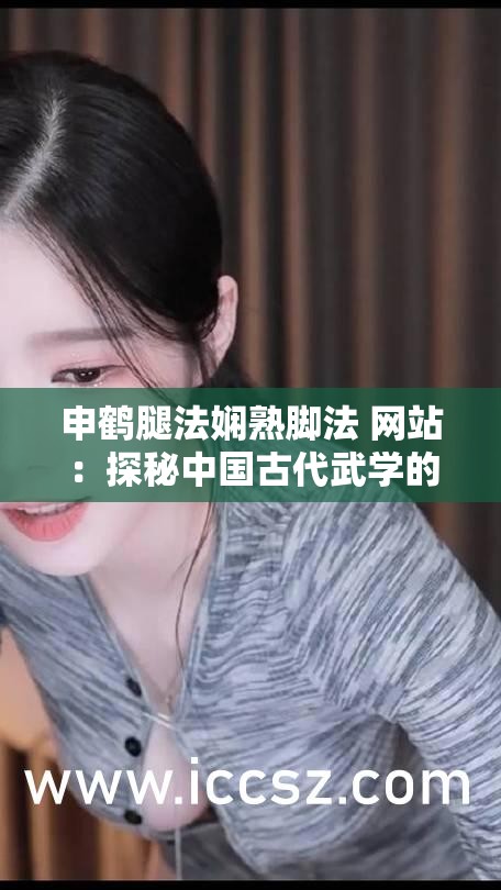 申鹤腿法娴熟脚法 网站：探秘中国古代武学的精髓