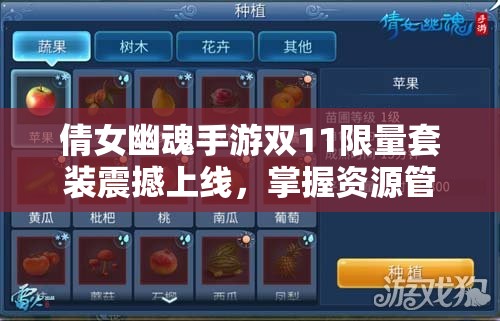 倩女幽魂手游双11限量套装震撼上线，掌握资源管理技巧，实现高效利用与价值最大化策略