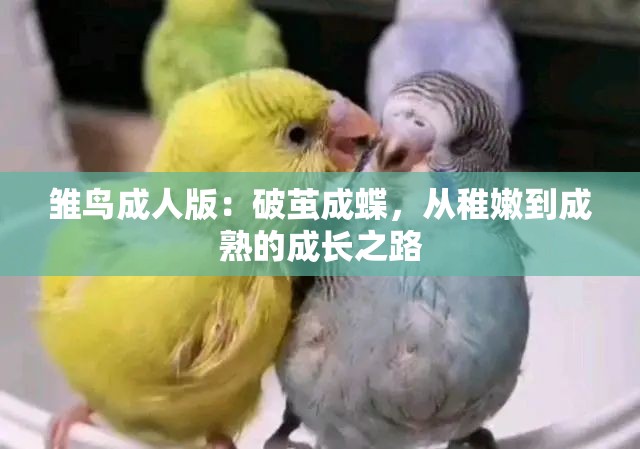 雏鸟成人版：破茧成蝶，从稚嫩到成熟的成长之路