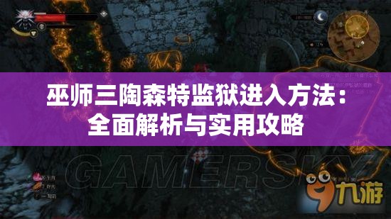 巫师三陶森特监狱进入方法：全面解析与实用攻略