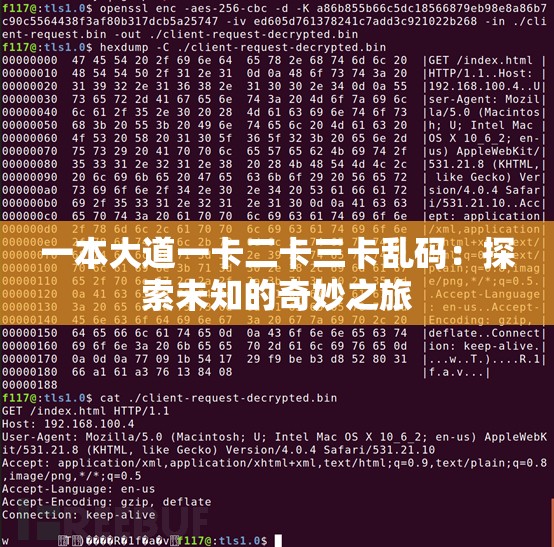 一本大道一卡二卡三卡乱码：探索未知的奇妙之旅