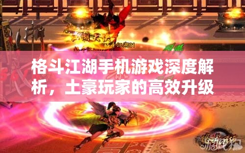 格斗江湖手机游戏深度解析，土豪玩家的高效升级策略与路径