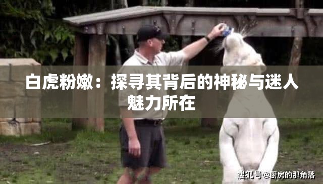 白虎粉嫩：探寻其背后的神秘与迷人魅力所在