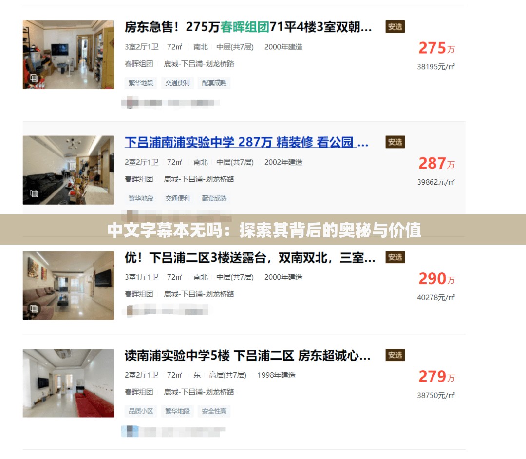 中文字幕本无吗：探索其背后的奥秘与价值