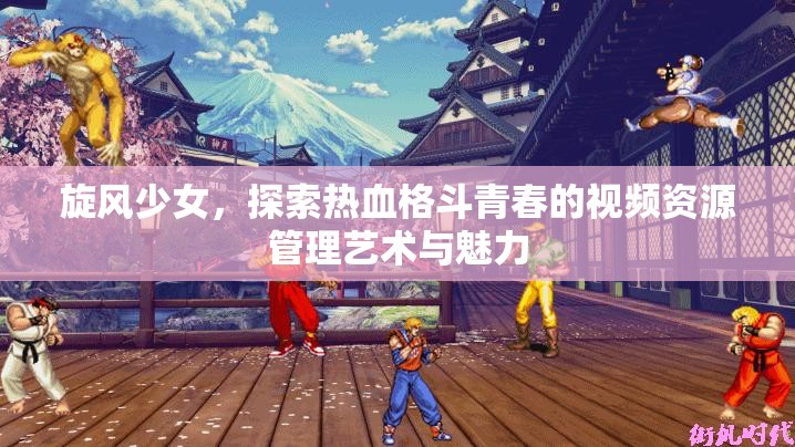 旋风少女，探索热血格斗青春的视频资源管理艺术与魅力