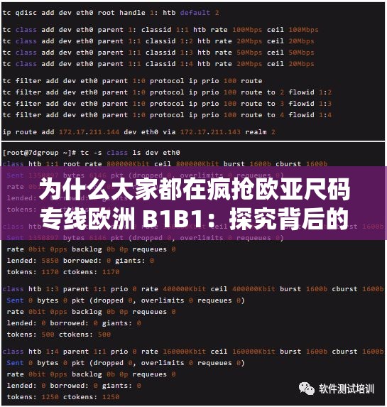 为什么大家都在疯抢欧亚尺码专线欧洲 B1B1：探究背后的原因