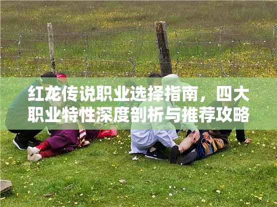 红龙传说职业选择指南，四大职业特性深度剖析与推荐攻略